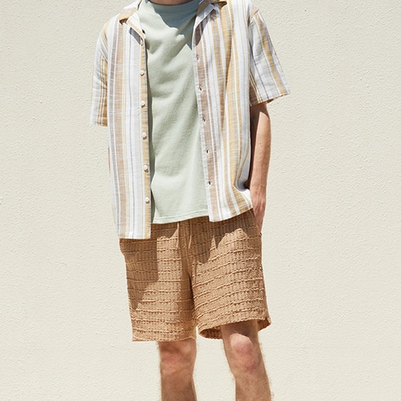 PacSun Other - PacSun Brown Textured Shorts